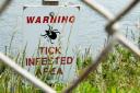 Beware of Ticks. Lyme Disease bites.